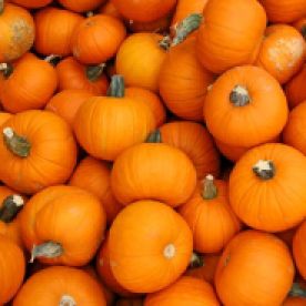 wintersquash-pumpkin.jpg.653x0_q80_crop-smart